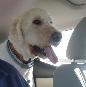 Meet your Posher, Robert